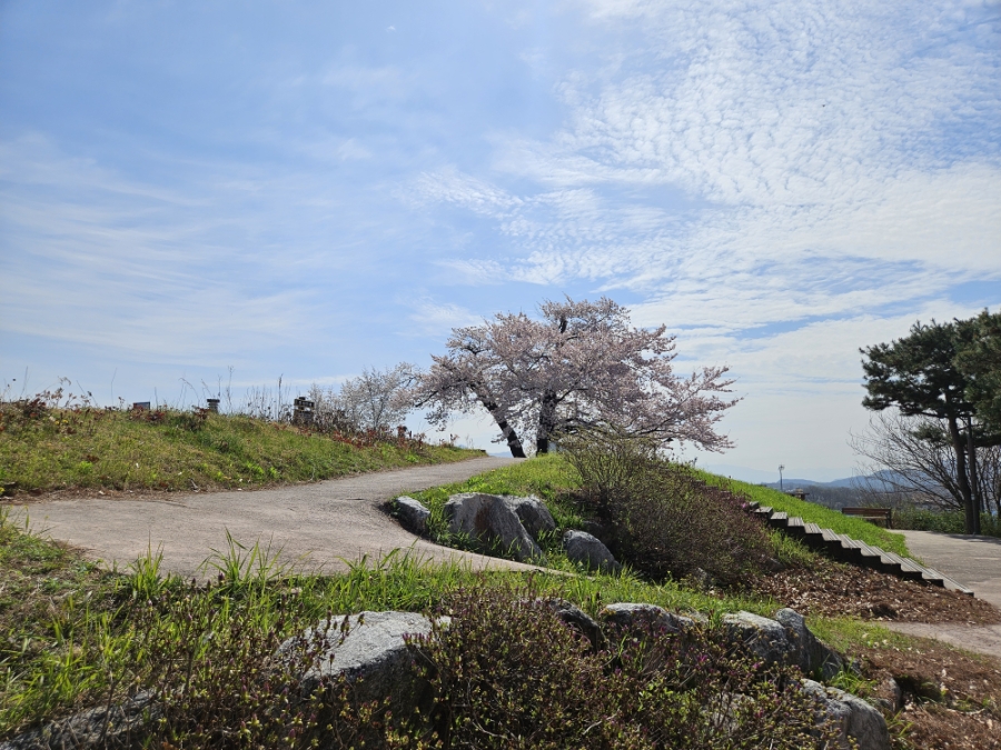 수도산 사진 2