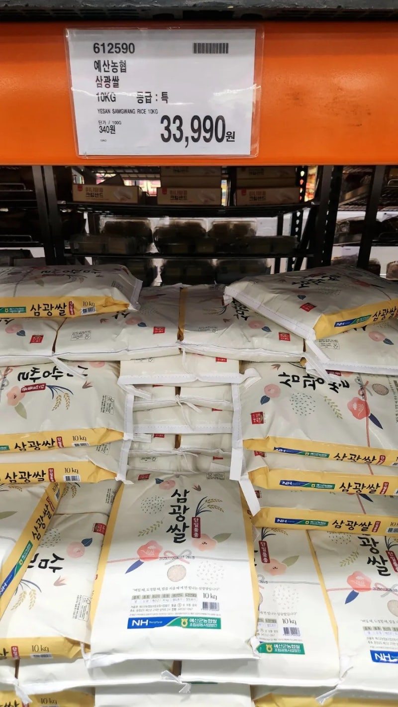 코스트코 쌀 추천 가격 총정리 집밥 퀄리티 높여주는 쌀 종류별 완벽 가이드 (2026년 버전)