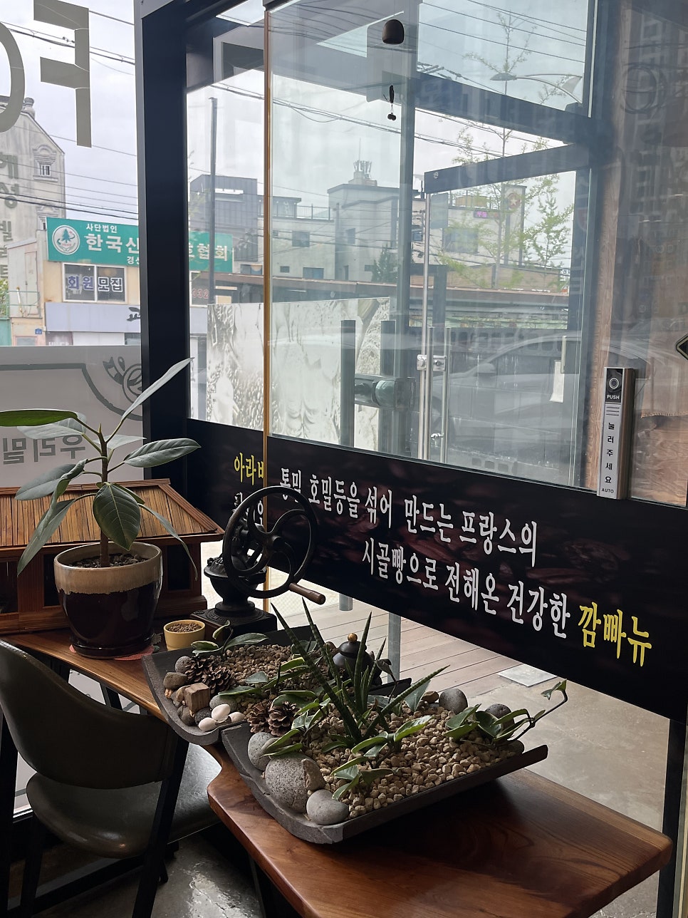 콩과밀 사진 6