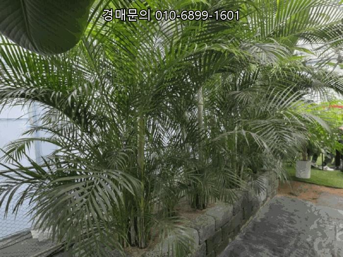  성남시 수정구 시흥동, 핵심 근린시설 법원경매! 토지 99평, 건물 124평 규모의 수익형 부동산 재테크, 지금이 급매보다 저렴한 투자 적기! 주식회사 제이옥션과 함께 철저한 권리