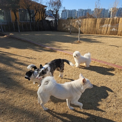 사진 9