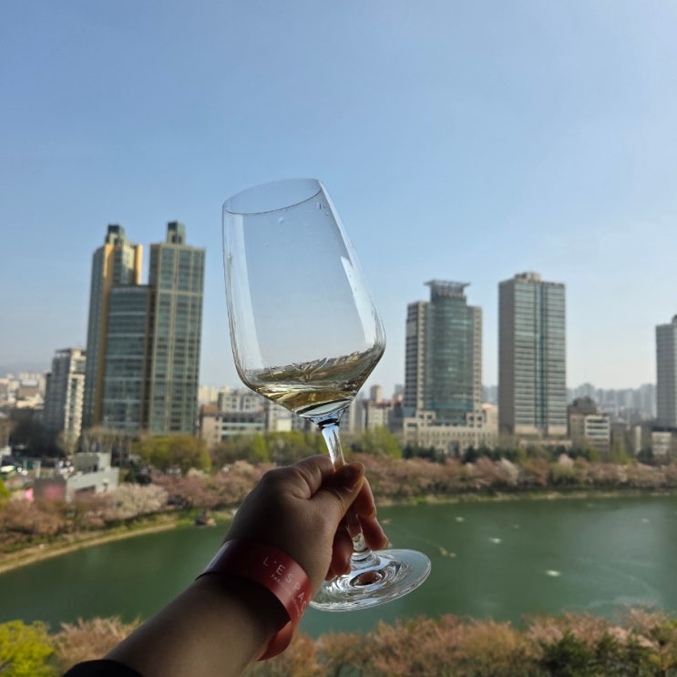  [잠실] 소피텔 앰배서더 레스파스 와인데이즈 _ 석촌호수뷰 와인 시음회