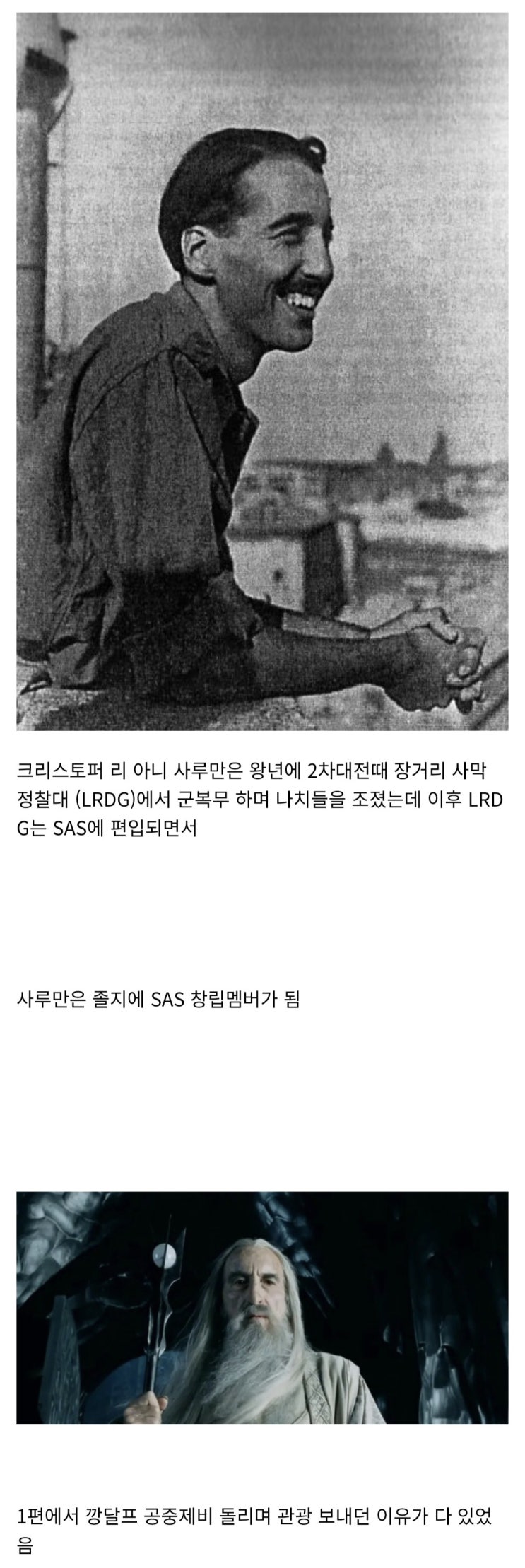  반지의 제왕 사루만은 특수부대급 실력자다