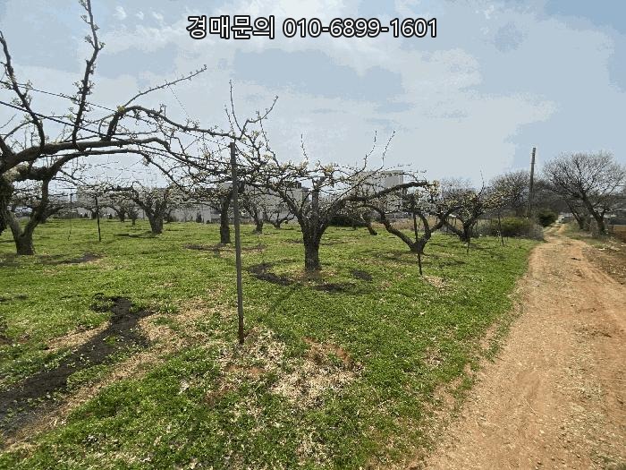  [경기도 평택시 청룡동] [전] 경매, [2025타경540]