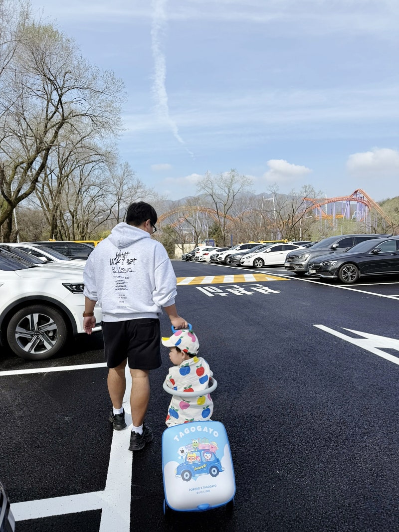 사진 11