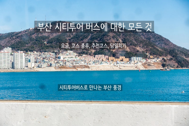 부산 시티투어 버스 정보 | 요금, 코스, 시간표, 추천코스