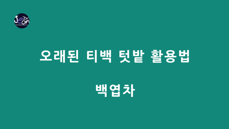  오래된 티백 텃밭 활용법 _백엽차