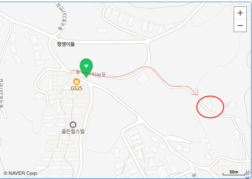숲에서 길을 잃다 사진 2