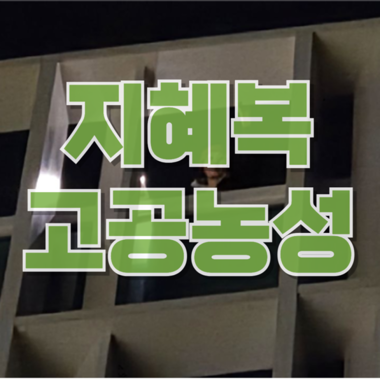 “공익제보 후 해임”… 교사 지혜복 고공농성 사태의 본질과 한국 교육의 민낯