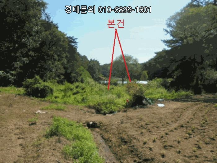  [제천 봉양읍 장평리] 답 경매, 2025타경129