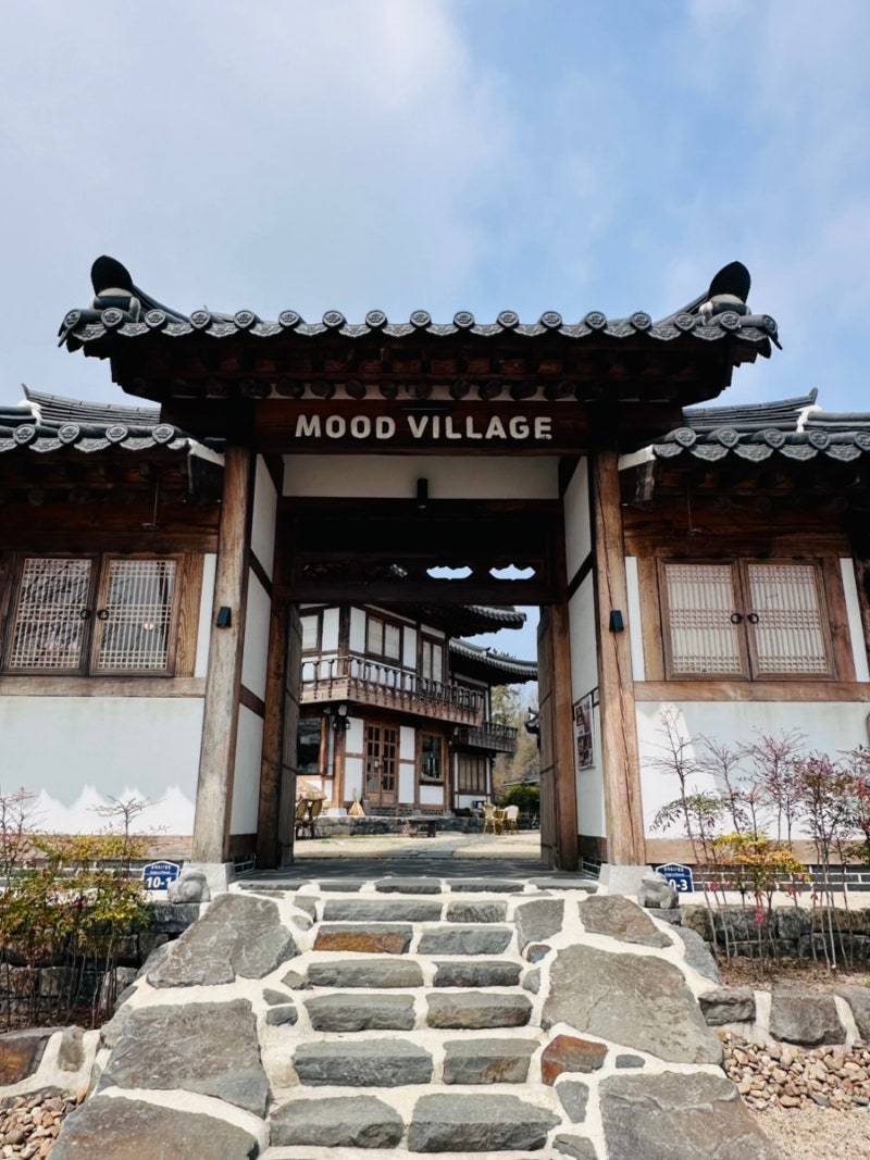 사진 2