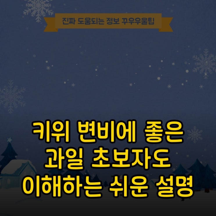  키위 변비에 좋은 과일 초보자도 이해하는 쉬운 설명