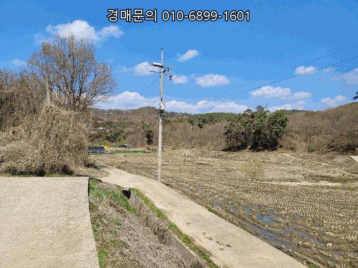  평택시 지산동 임야 경매, 2025타경41665