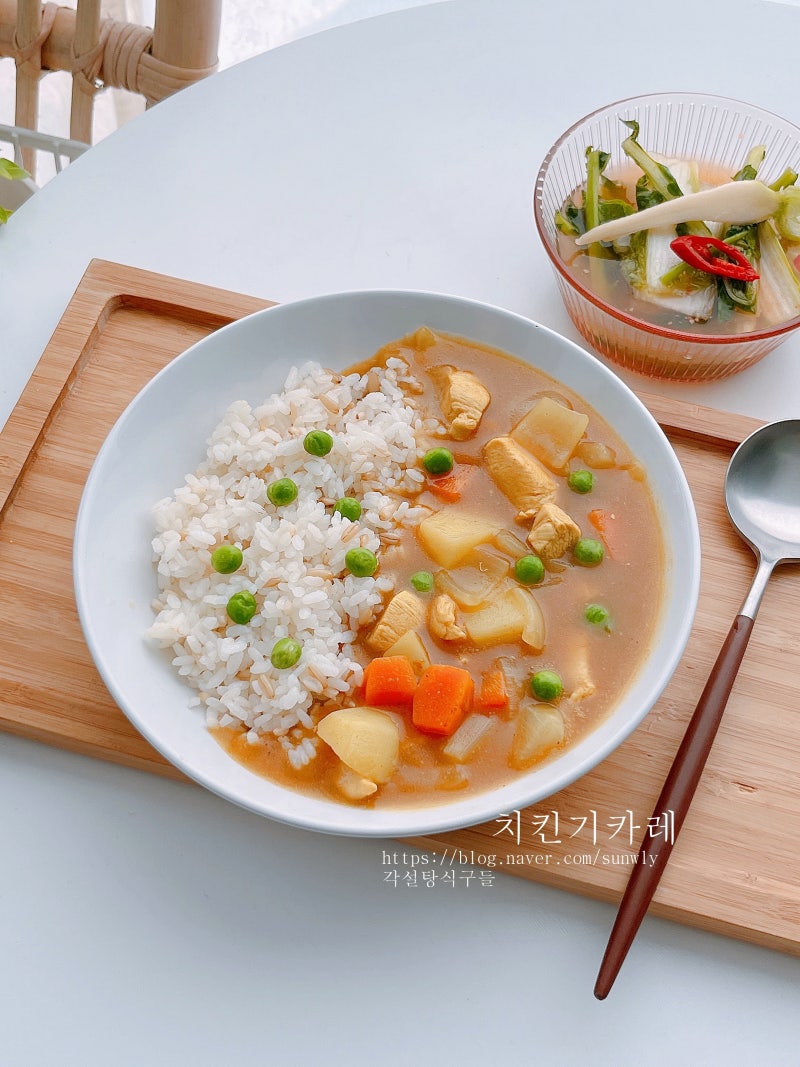 닭가슴살 카레 만드는법 야채카레 닭고기 치킨 카레 레시피