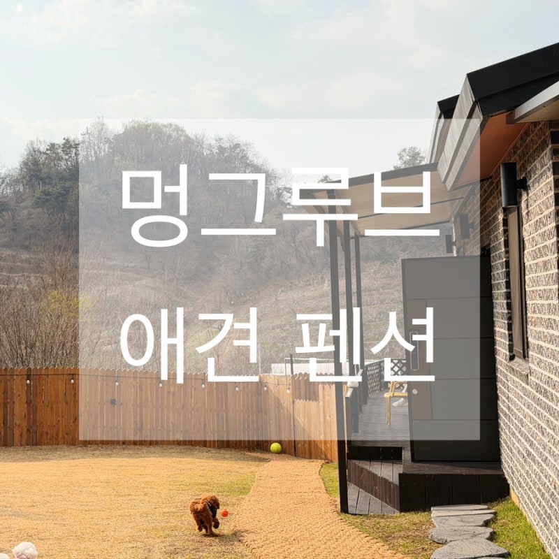 사진 6