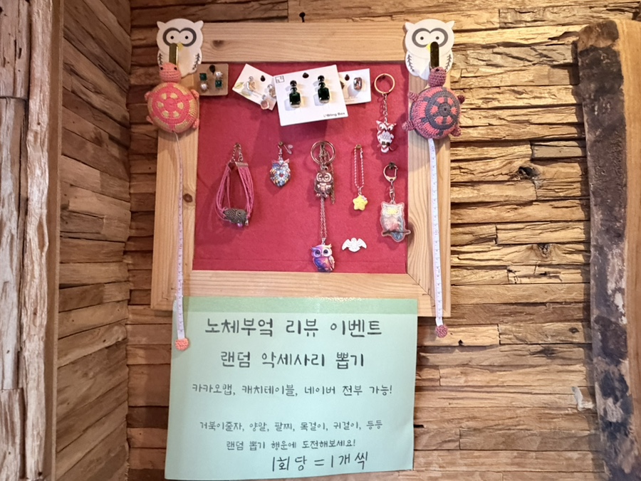 노체 사진 6