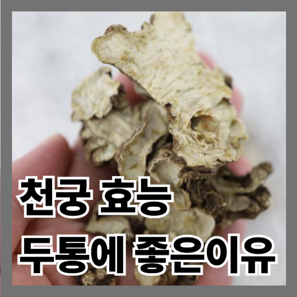 천궁 효능 효과 총정리｜두통·생리통에 좋은 이유와 먹는법