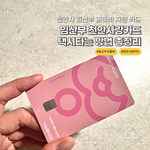 천안시 임산부 교통비 천안사랑카드로 택시 타는 방법 카카오택시 행복콜택시 정리