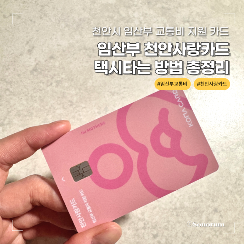 천안시 임산부 교통비 천안사랑카드로 택시 타는 방법 카카오택시 행복콜택시 정리