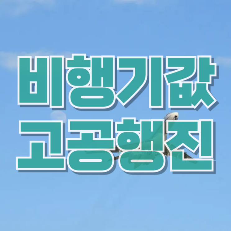  “뉴욕 왕복 유류할증료만 113만원”…요즘 비행기값 왜 이래?