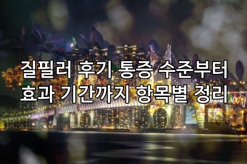 질필러 후기 통증 수준부터 효과 기간까지 항목별 정리