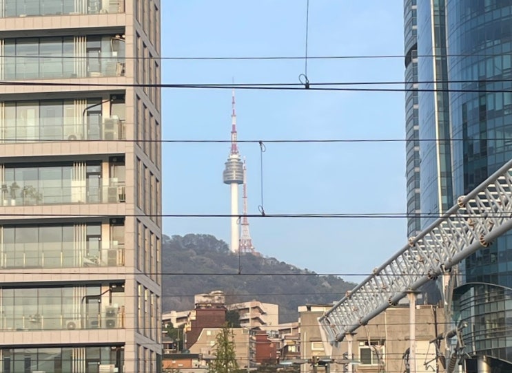  재능냥비로 블로그 키우기 한 달 1차 정모 후기