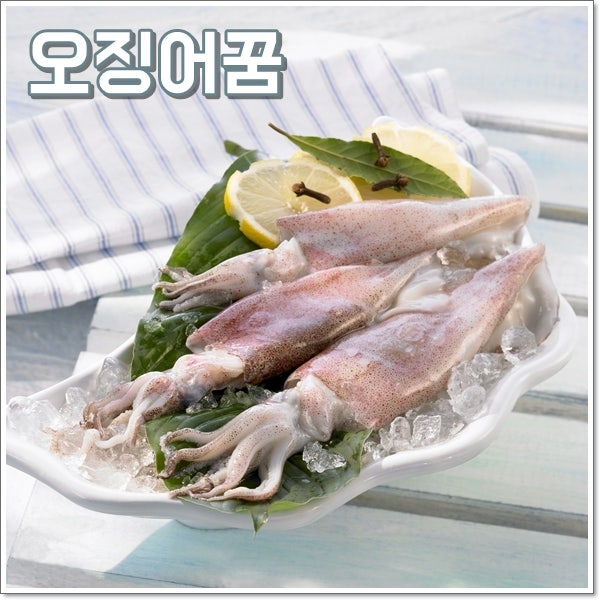 오징어꿈 해몽 오징어볶음꿈 마른오징어꿈 재밌는 풀이