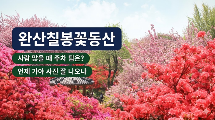  완산칠봉꽃동산 가기 전 체크할 점, 겹벚꽃·철쭉·주차 동선 정리