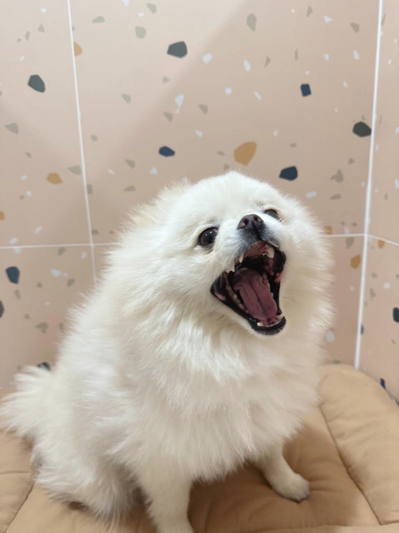 사진 9