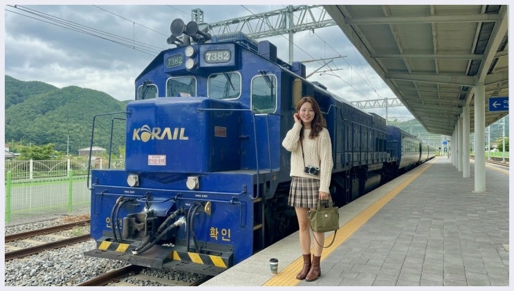  해랑열차 가격 아직도 예약 전쟁 중! 효도 여행 1티어 찐후기
