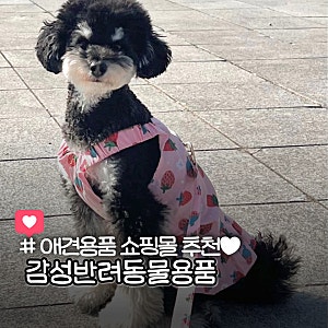 강아지옷 애견용품 쇼핑몰 추천 감성반려동물용품 후기