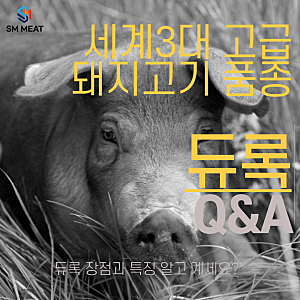 [삼겹살 수입육 식당용고기] 알레한드로 듀록 스페인산 돼지고기 장점과 특징 알고 계세요?