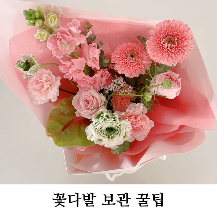 꽃선물 받았다면 필독! 꽃다발오래 유지하는 생화 꽃다발보관법