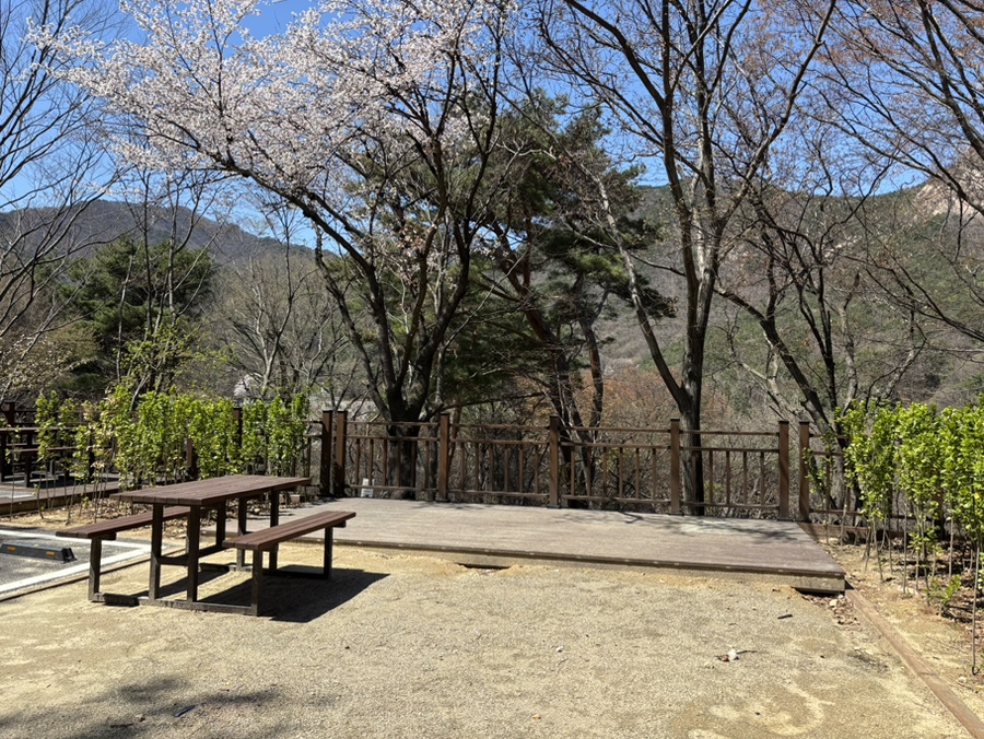 계룡산동학사 자동차야영장 사진 6