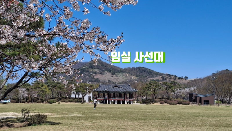 사진 3