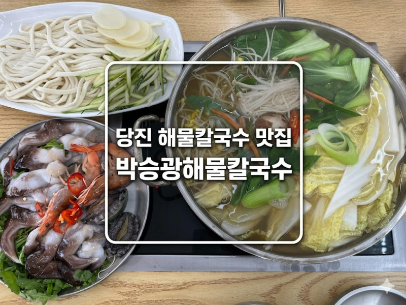 당진시청맛집 박승광해물칼국수 당진점ㅣ해물듬뿍 파전 칼국수 후기