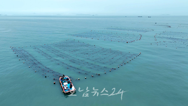  완도군, ‘바다숲 탄소 거래 사업’ 공모에 전국 최다 6개소 선정