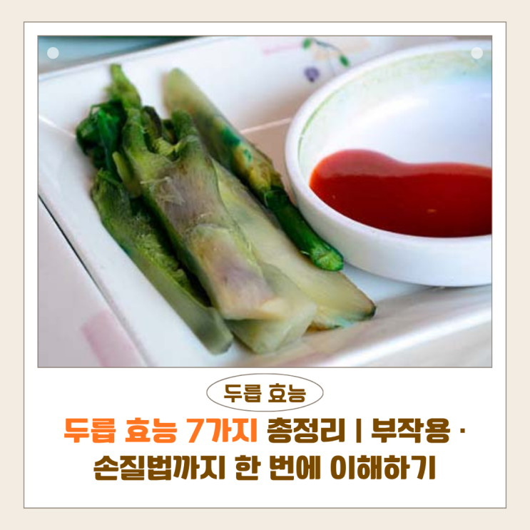  두릅 효능 7가지 총정리 | 부작용·손질법까지 한 번에 이해하기