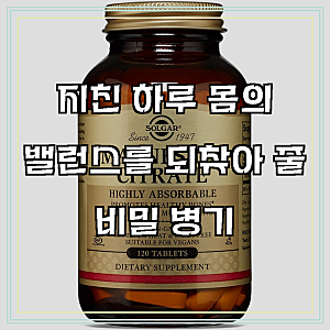 솔가 Solgar 마그네슘 시트레이트 120캡슐, 120개, 1개, 120정, 하루를 꽉 채우는 활력, 경험해 보....