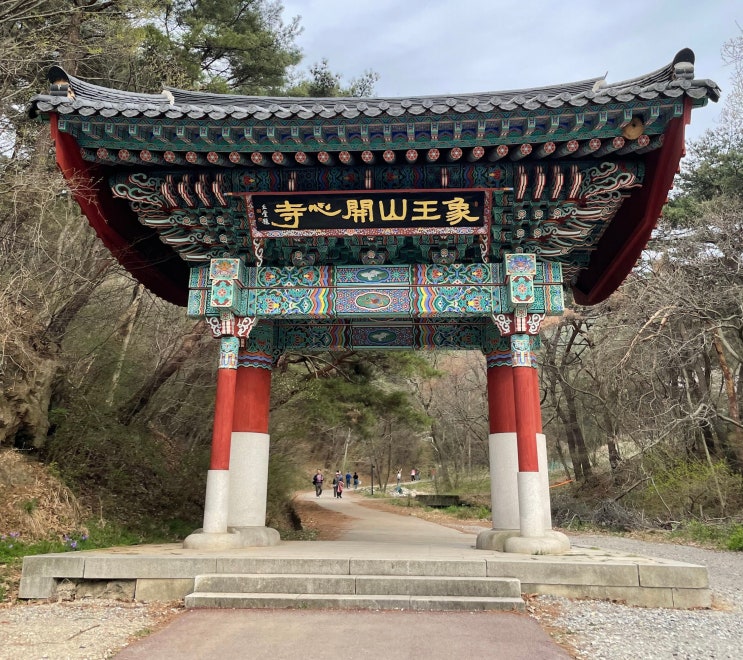  서산 개심사 주차 청벚꽃 겹벚꽃 개화시기
