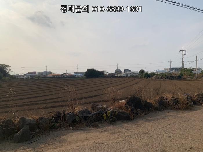  제주 서귀포시 대정읍 토지 경매, 2024타경8876