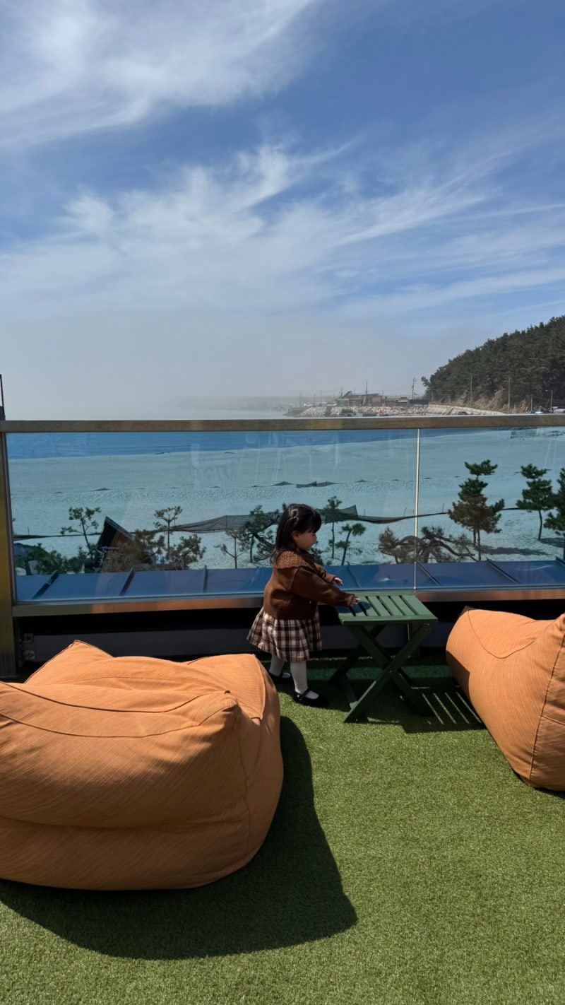 태안 디저트카페 천리포 오션뷰와 젤라또가 맛있는 천리카페 | 아이와 애견 동반 완벽 가이....