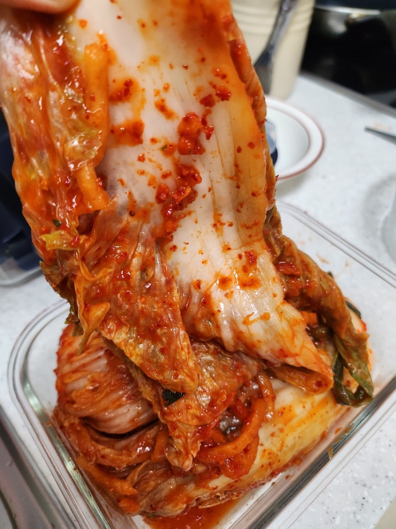 조선호텔 김치 1kg 솔직 후기 명품 김치는 뭐가 다를까