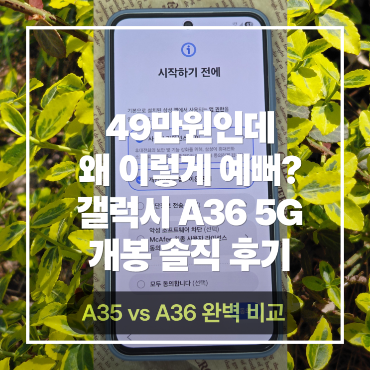  갤럭시 A36 5G 개봉기 솔직 후기 가성비 최고 (스펙, 카메라, 배터리 총정리)