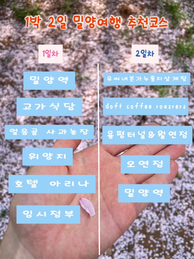 밀양 1박2일 여행 (feat.반값여행)