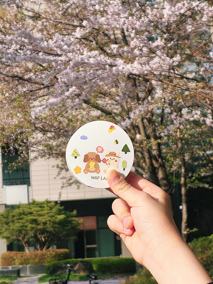 초등학교 고학년 선크림 , 중학생 톤업크림 고민 끝! 학교용 선쿠션 추천