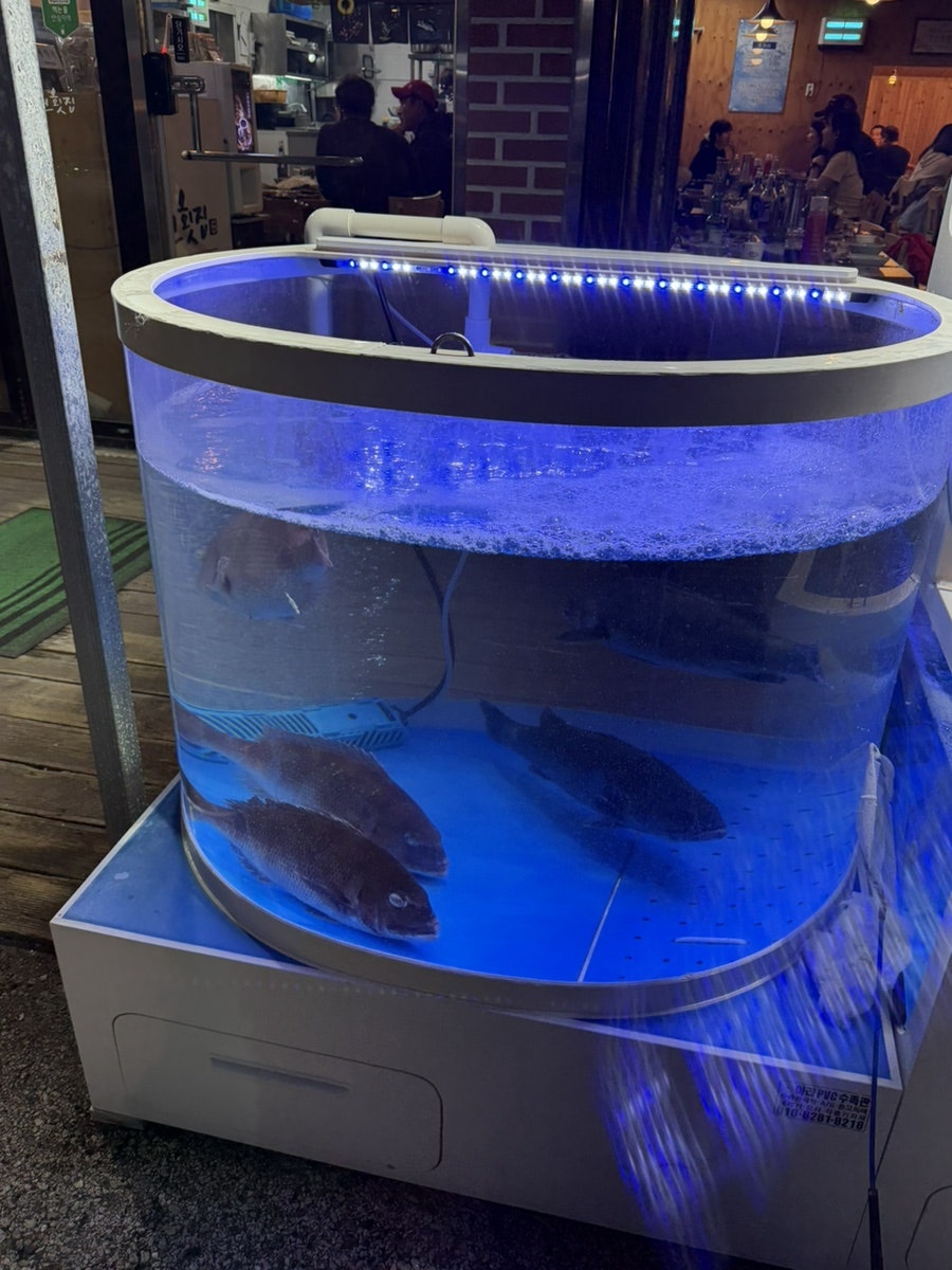 청년횟집 사진 2