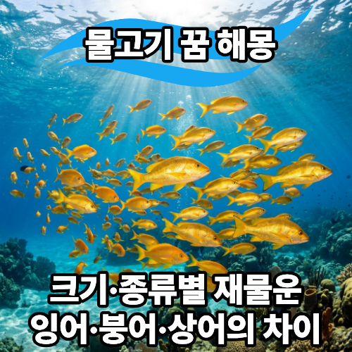 물고기 꿈 해몽 | 크기·종류별 재물운, 잉어·붕어·상어의 차이