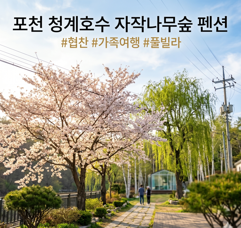 사진 6