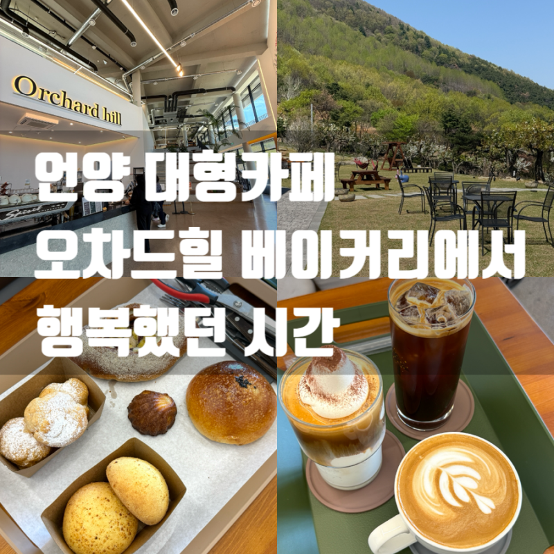 사진 7
